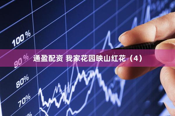 通盈配资 我家花园映山红花（4）