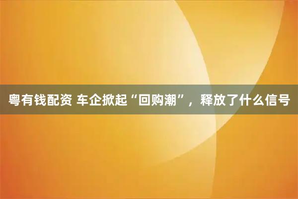 粤有钱配资 车企掀起“回购潮”，释放了什么信号